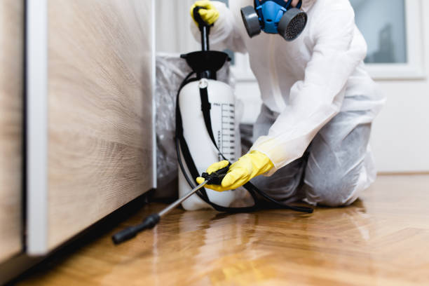 Best Pest Control Near Me  in Bertville, AL