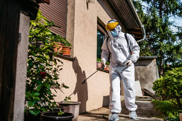 Best Residential Pest Control  in Bertville, AL