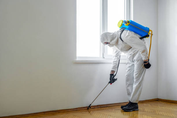 Best Commercial Pest Control Services  in Bertville, AL