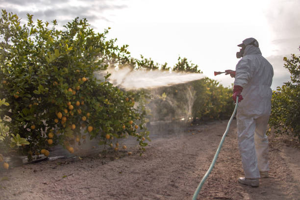 Best Pest Control Near Me  in Bertville, AL