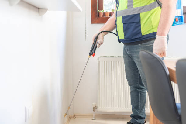 Best Termite Control Services  in Bertville, AL