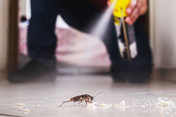 Best Affordable Pest Control Services  in Bertville, AL